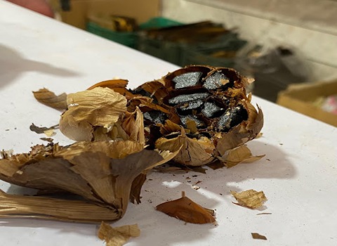 تصویر 2 از خرید سیر سیاه ارگانیک
